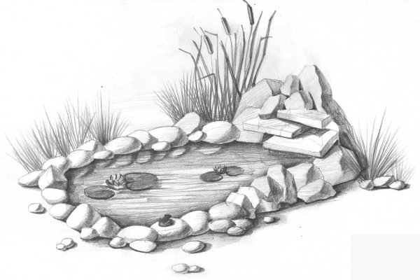 Эскиз водоема