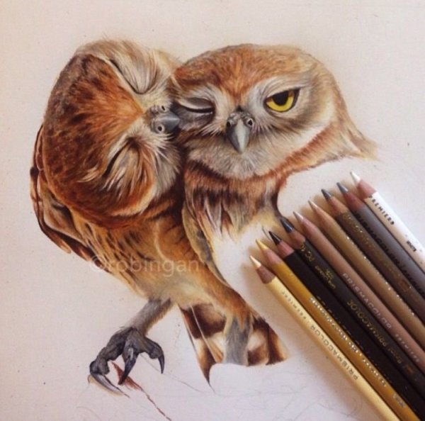 Рисование Филина пастелью