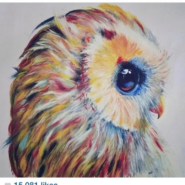 Сова цветными карандашами