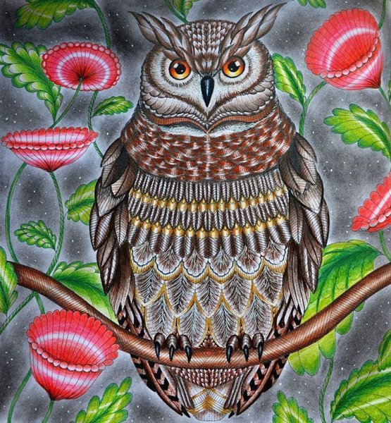 Реалистичные рисунки птиц