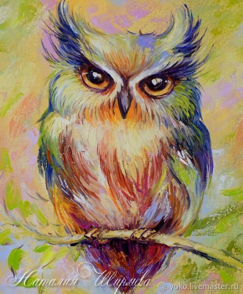 Совушки для срисовки