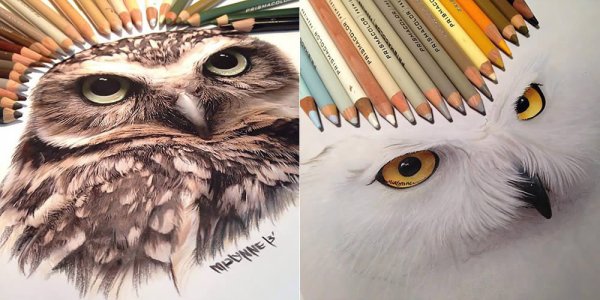 Сова Минимализм акварель