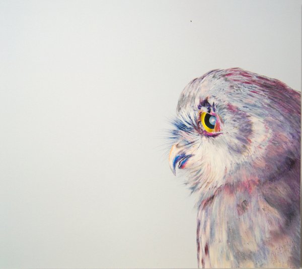 Сова скетч маркерами