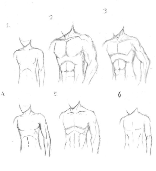 Мужской торс для рисования