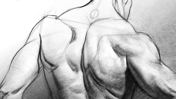 Эстетика тела карандашом