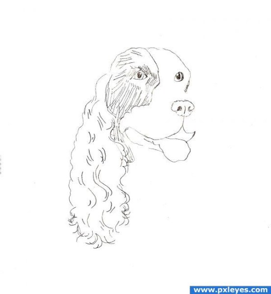 Лев рисунок