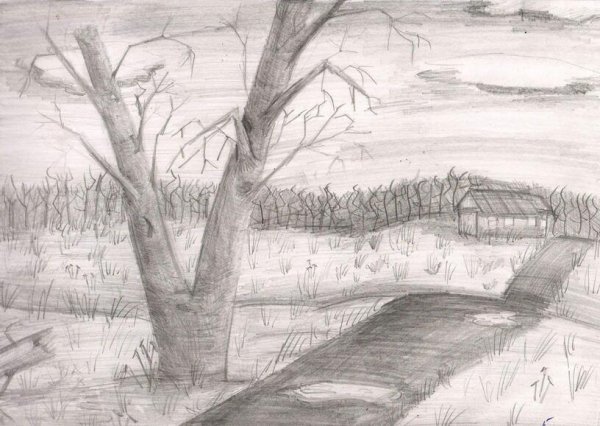 Пейзаж простым карандашом