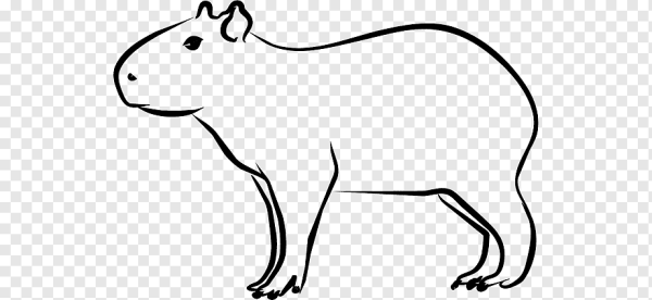 Капибара Антро