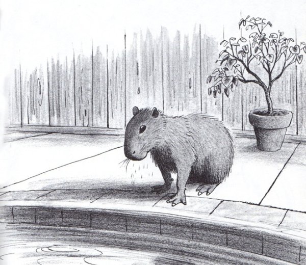 Капибара карандашом