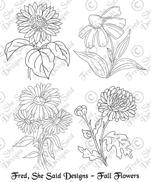 Астра карандашом