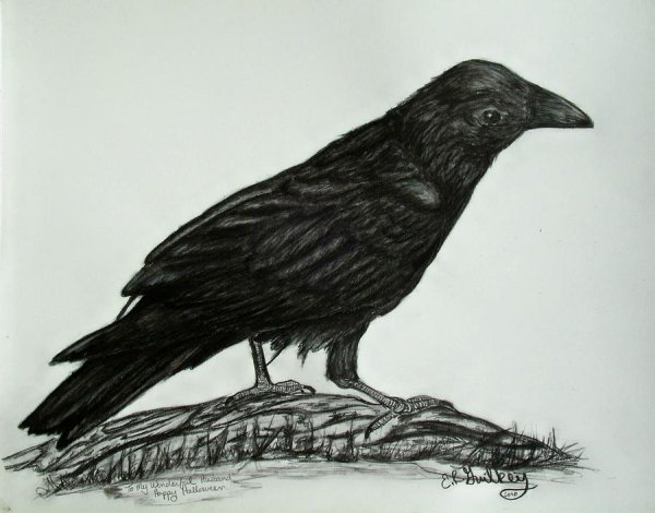 Грач карандашом