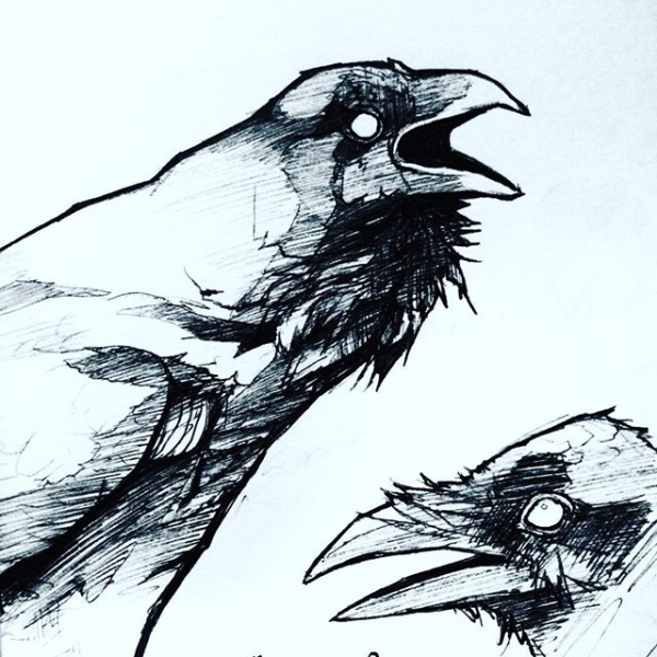 Ворон рисование