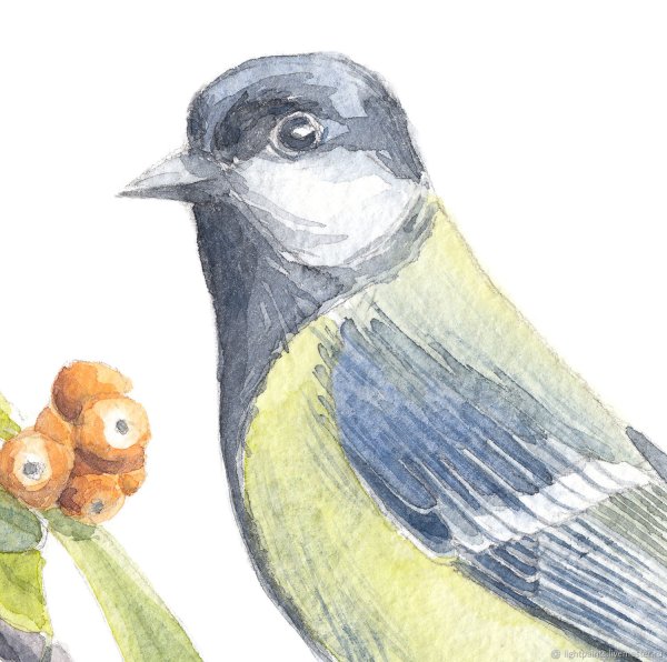 Синица на раме