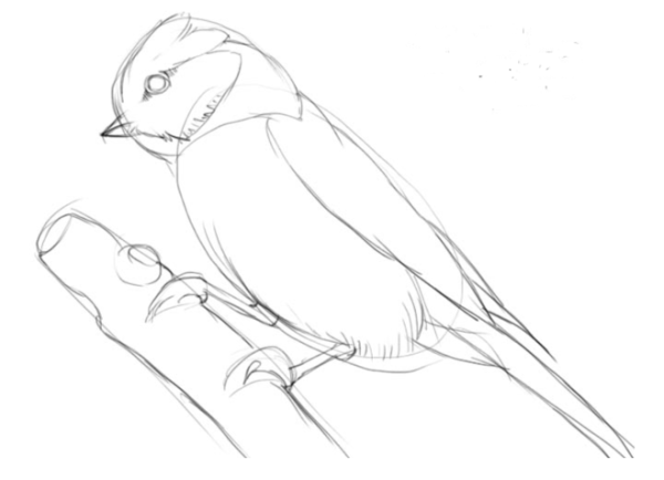 Птицы акварелью