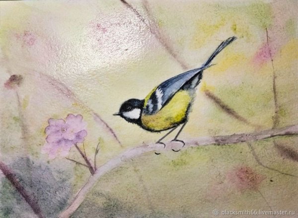 Синичка раскраска для детей