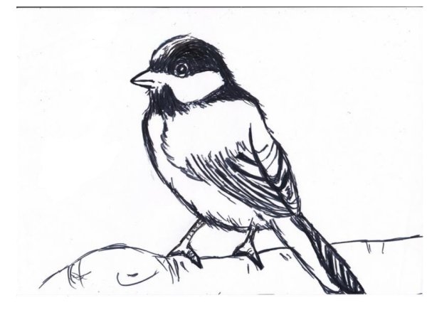 Кормушка для птиц раскраска