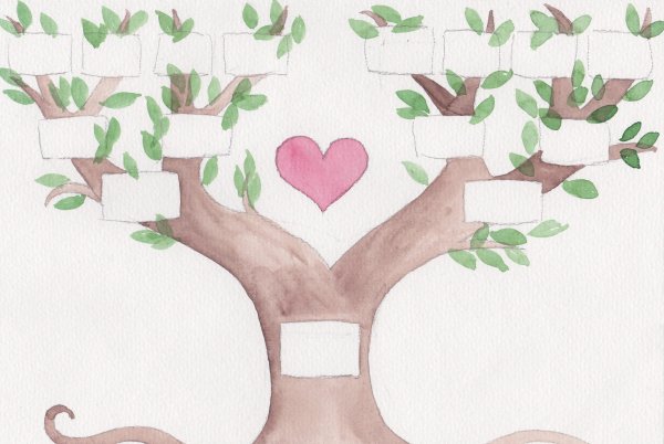 Семейное Древо Баум