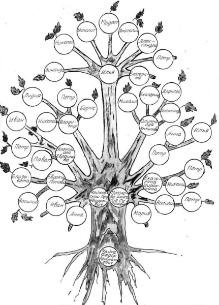 Эскиз родового дерева