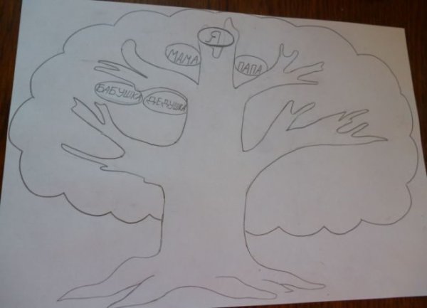 Семейное дерево карандашом