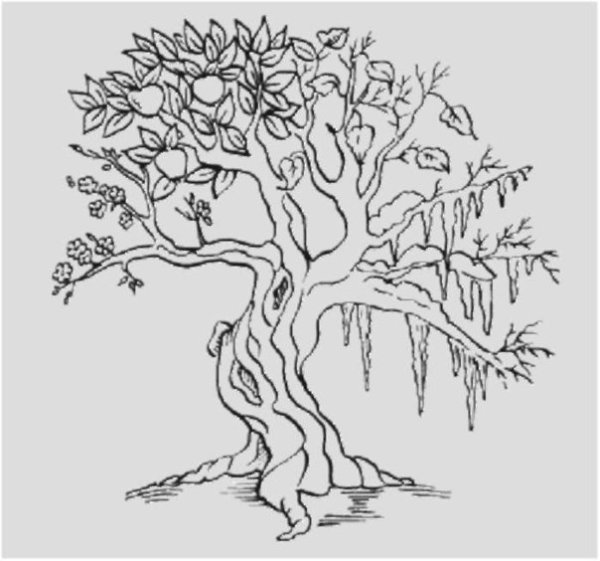 Доброе и Злое дерево карандашом