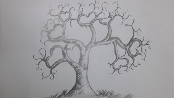 Доброе дерево карандашом