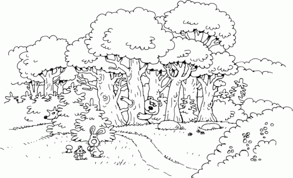 В лесу. Раскраска