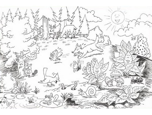 Зимний пейзаж раскраска