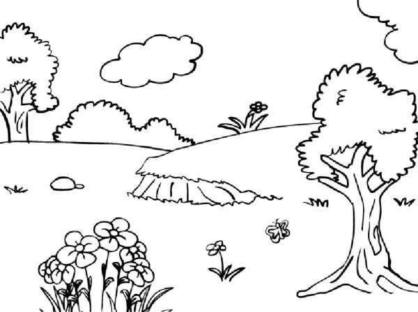 Рисунки леса легкие