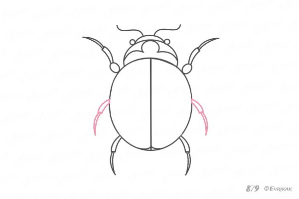 Рисунок жука для детей 1 класс