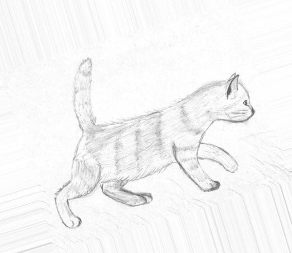 Кошка раскраска для детей