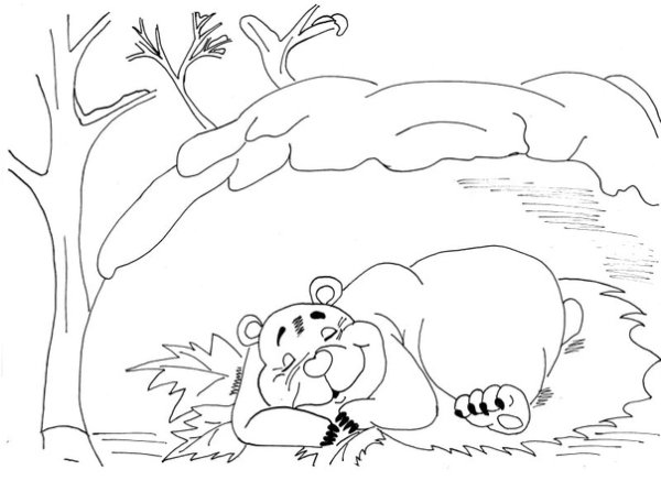 Медведь зимой раскраска