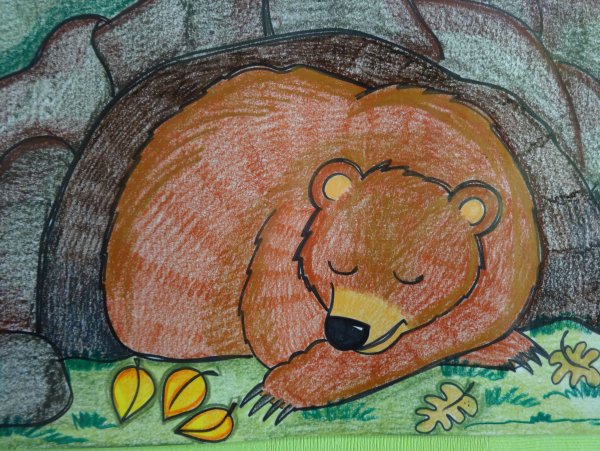 Медведь в берлоге раскраска для детей