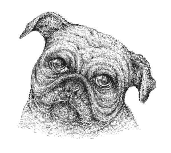 Мопс стилизация