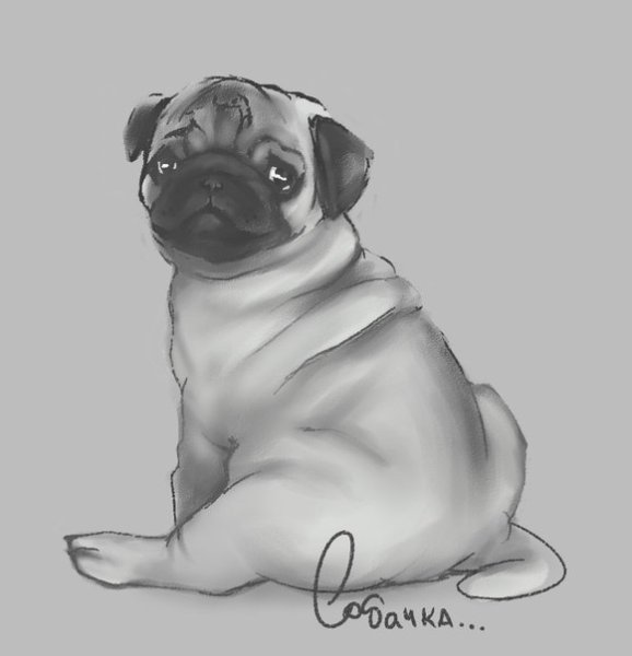 Мопс пастелью