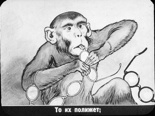 Мартышка и очки