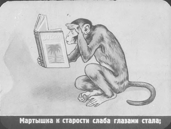 Мартышка и очки книга