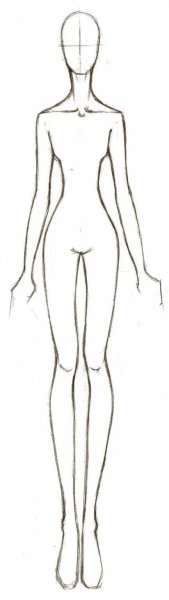 Пропорции женского тела для рисования