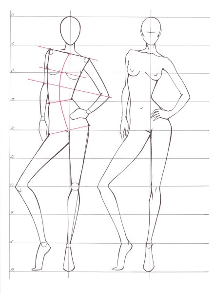 Пропорции тела человека референс