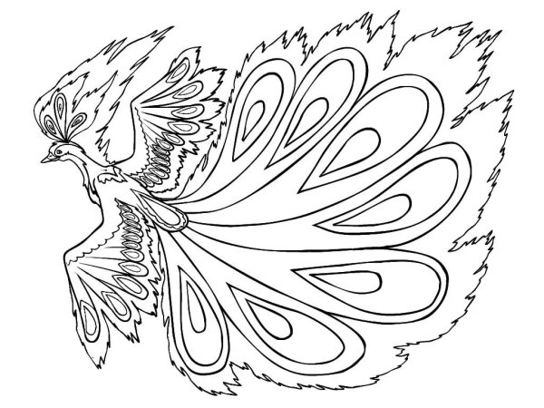 Сказочная птица раскраска для детей