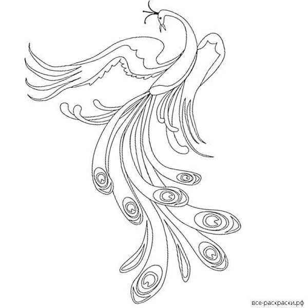 Рисование Жар птицы