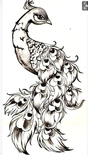 Жар птица картинки