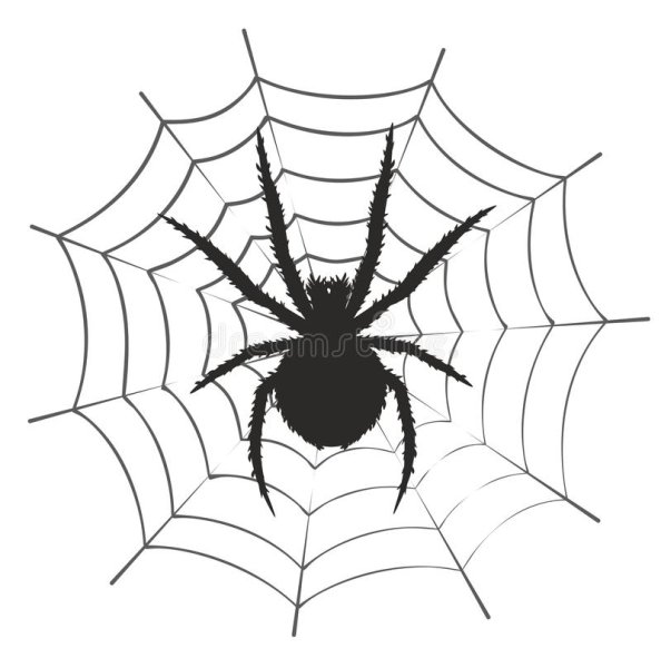 Рисунки для срисовки паутина