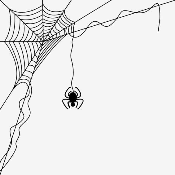 Рисуем паучка на паутинке
