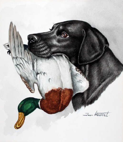 Эскиз собаки с уткой