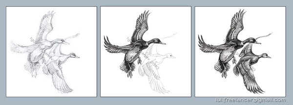 Утка рисунок для гравировки