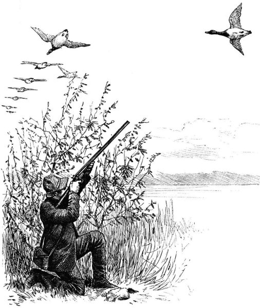 Графика на тему охоты