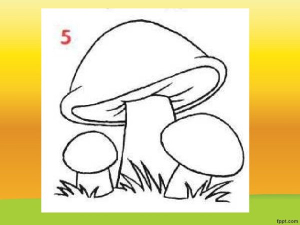 Подосиновик рисунок поэтапно карандашом