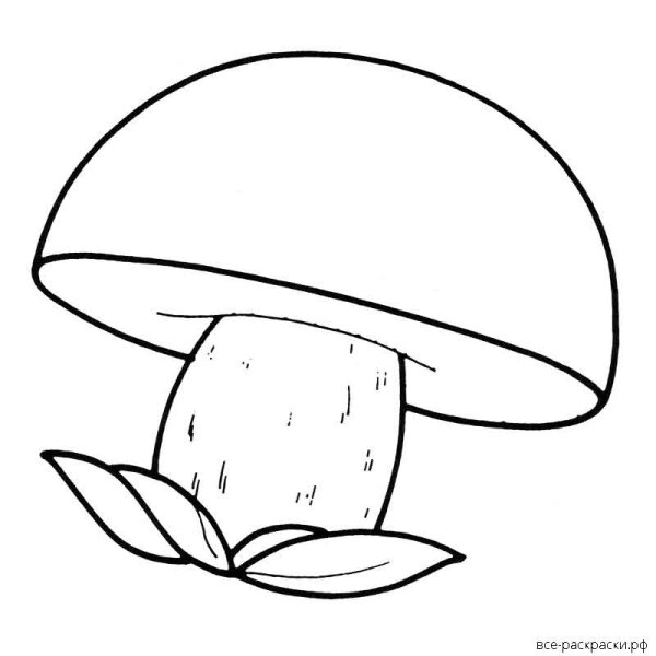 Раскраска подосиновик под осиной