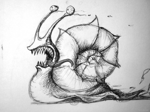 Рисунки простым карандашом