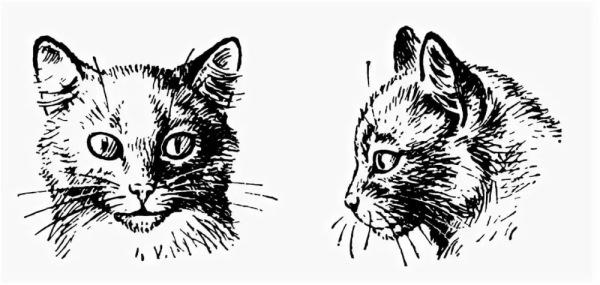 Нарисовать сидящего кота